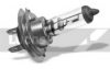LANDROVER LR000703 Bulb, fog light